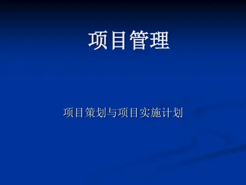 项目策划与项目实施计划(PPT)