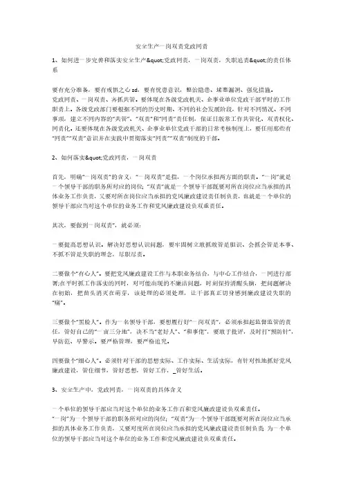 安全生产一岗双责党政同责安全生产