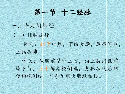 《经络腧穴学》各论PPT课件