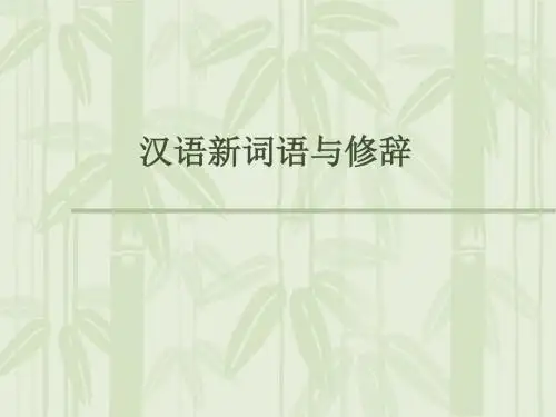 外国留学生汉语新词语 (6)
