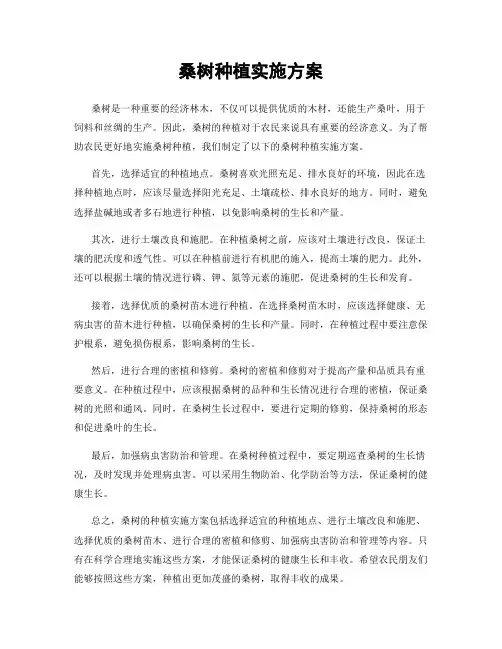桑树种植实施方案