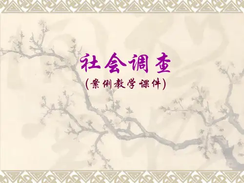 社会调查案例