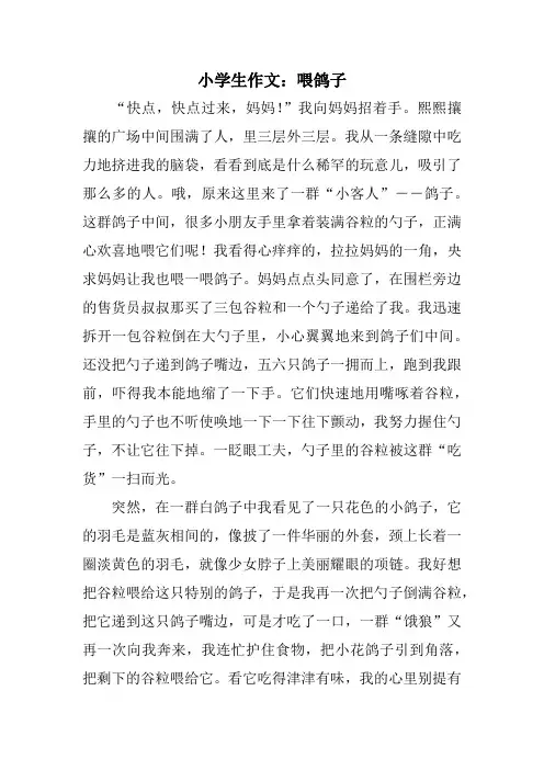小学生作文：喂鸽子