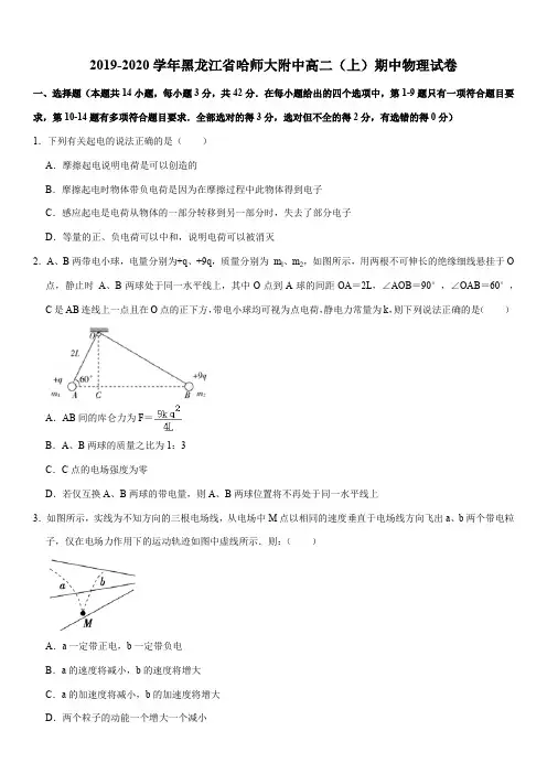 2019-2020学年黑龙江省哈师大附中高二(上)期中物理试卷
