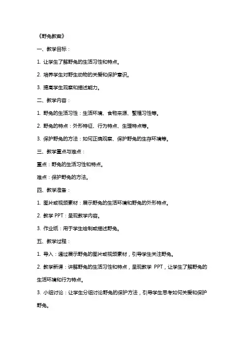《野兔教案》