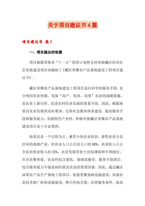 关于项目建议书4篇