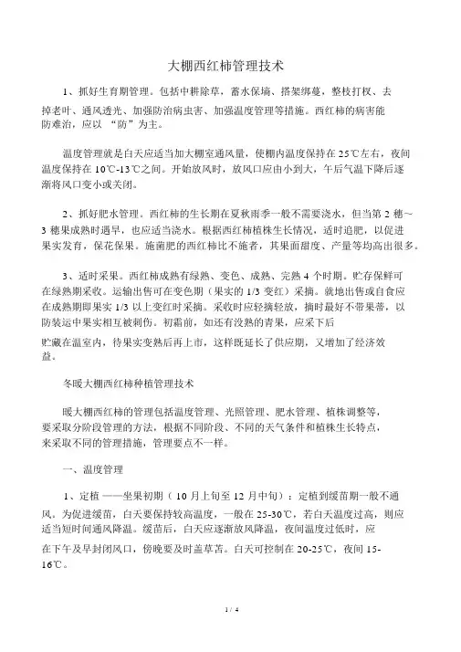 大棚西红柿管理技术