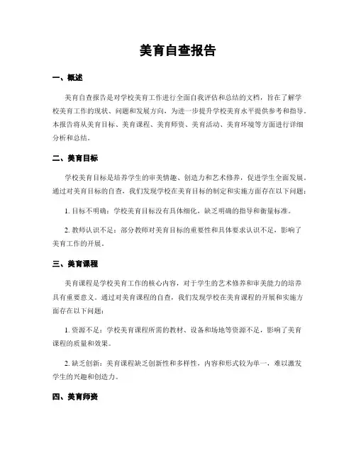 美育自查报告