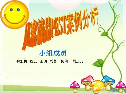 凡客诚品PEST案例分析(1)