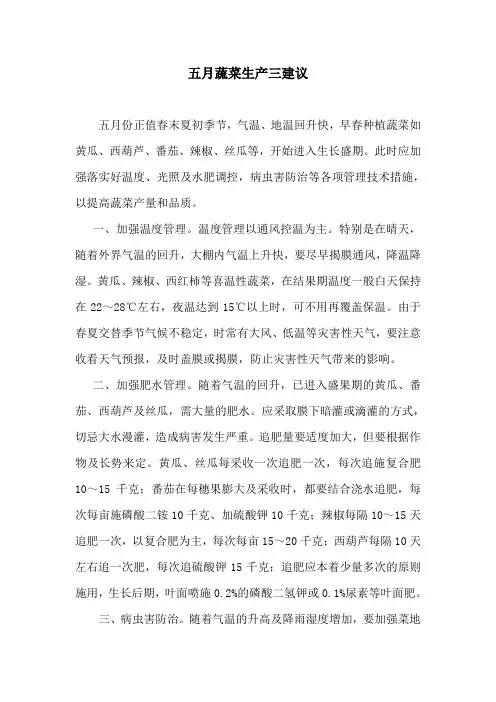 五月蔬菜生产三建议