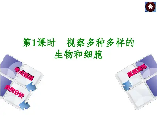 第1章 生命系统的构成层次PPT课件(初中科学)