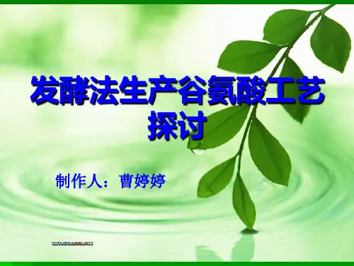 发酵发生产谷氨酸工艺探讨