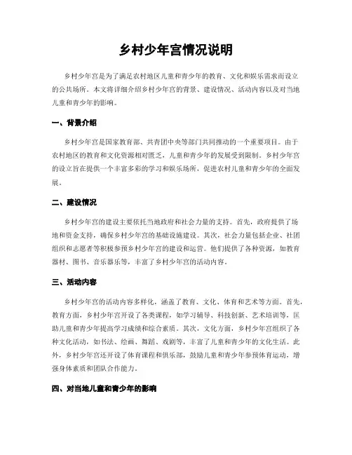 乡村少年宫情况说明