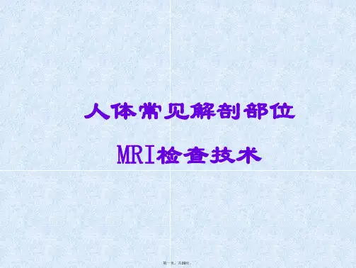 MR检查技术