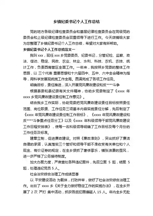 乡镇纪委书记个人工作总结