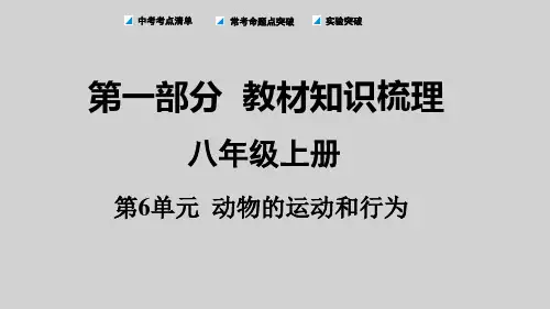 初中中考生物教材梳理(课件+练习)第6单元 动物的运动和行为