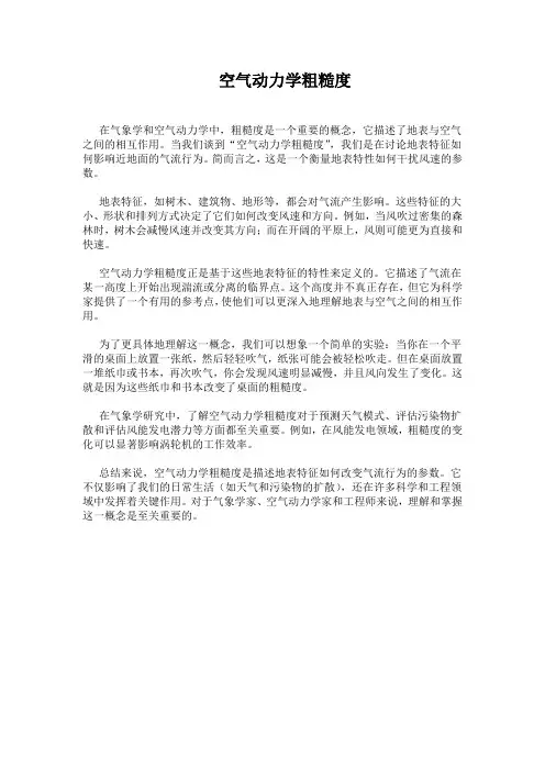 空气动力学粗糙度