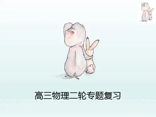 高三物理二轮复习课件 专题二 第1课时 力与直线运动