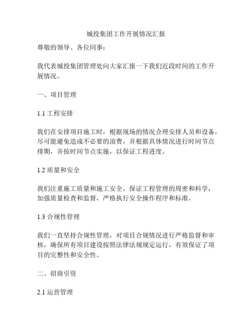 城投集团工作开展情况汇报