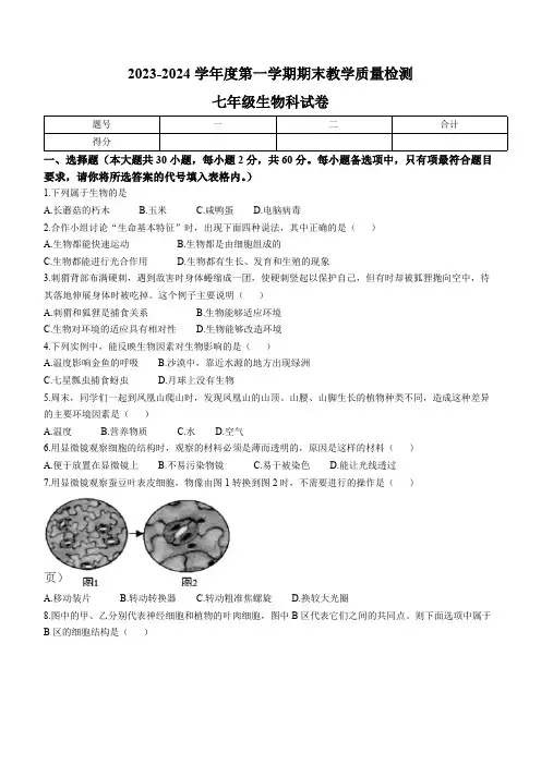 广东省潮州市潮安区2023-2024学年七年级上学期期末考试生物试题(含答案)