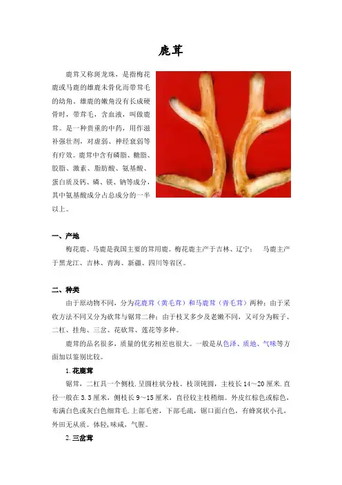 鹿茸的功效、鉴别方法及用法