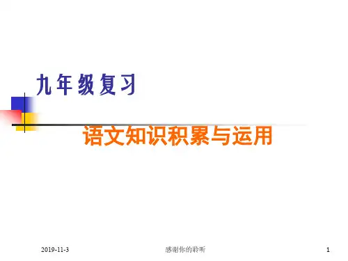 九年级复习 语文知识积累与运用.ppt
