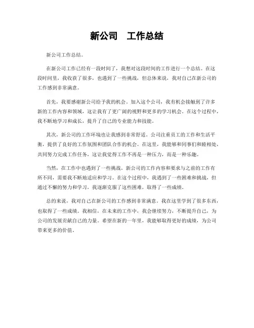 新公司  工作总结