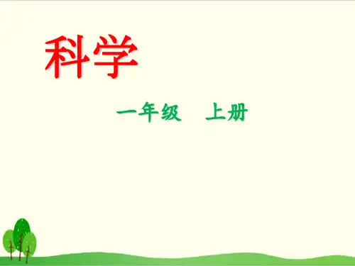 (教科版)小学科学《校园里的植物》完整版PPT1