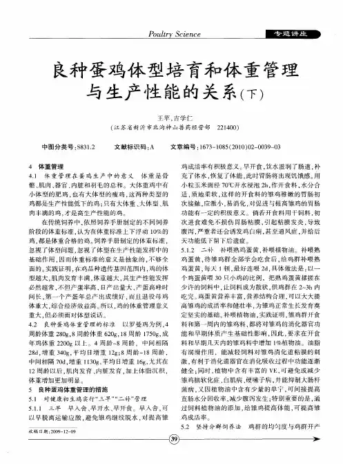 良种蛋鸡体型培育和体重管理与生产性能的关系(下)