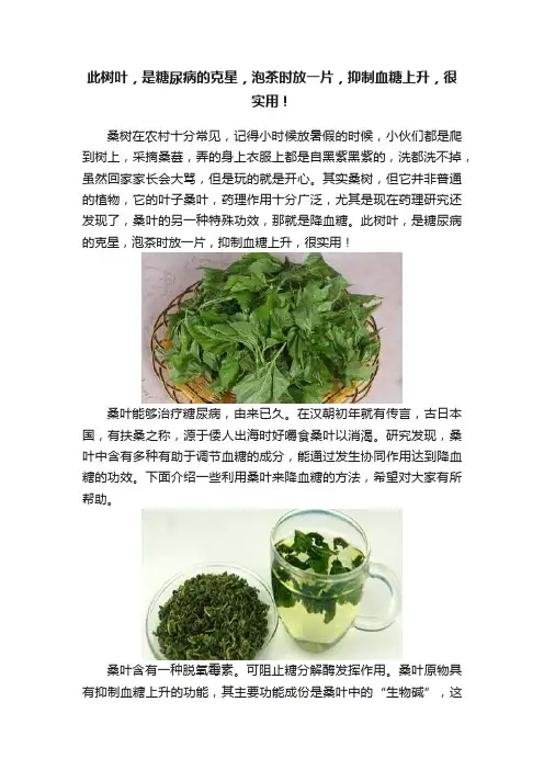 此树叶，是糖尿病的克星，泡茶时放一片，抑制血糖上升，很实用！