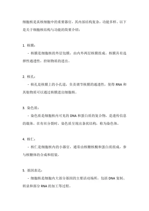 细胞核结构与功能
