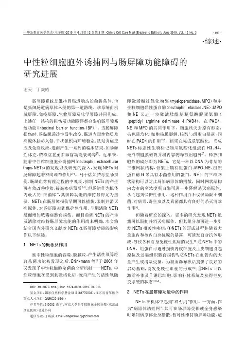 中性粒细胞胞外诱捕网与肠屏障功能障碍的研究进展