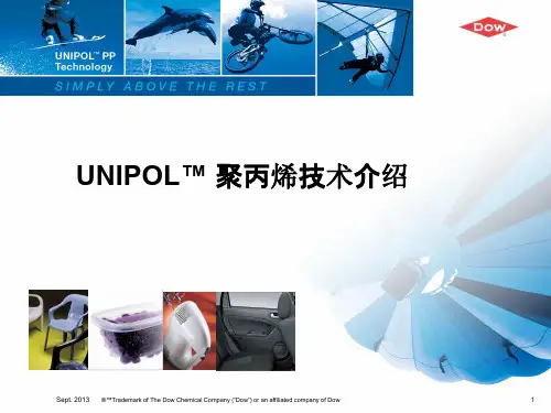 UNIPOL聚丙烯工艺、产品和催化剂介绍