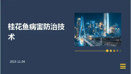 桂花鱼病害防治技术