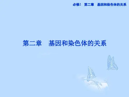 高考生物一轮复习 第二章第1节 减数分裂和受精作用课件 新人教版必修2
