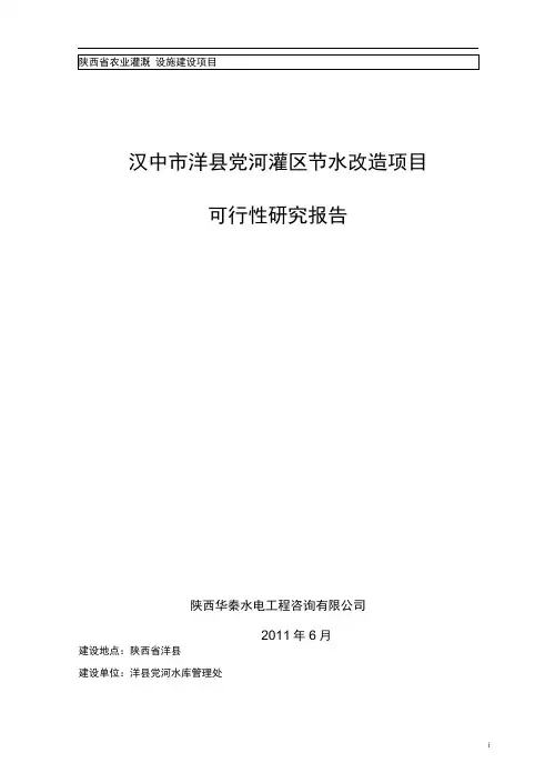 XX河灌区节水改造项目可行性研究报告