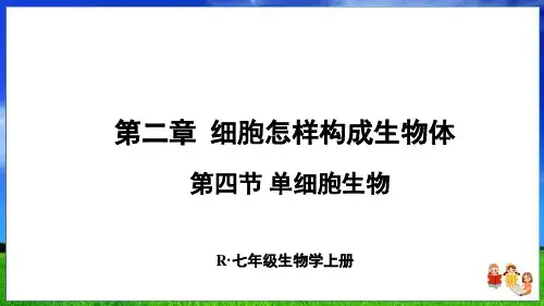 人教版生物七上第二章第四节 单细胞生物(24页附练习题)