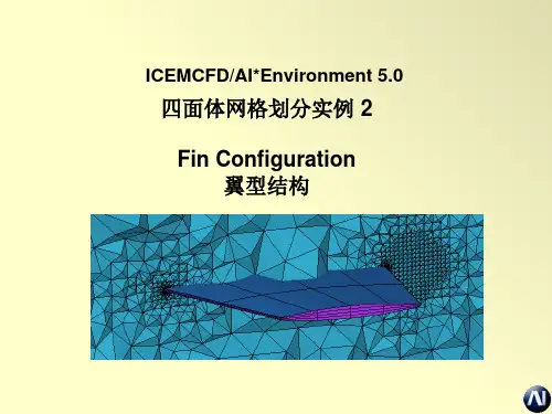 icem-教程