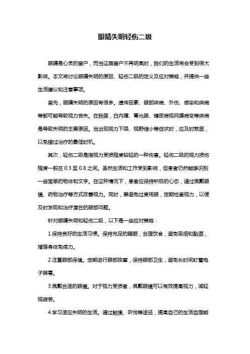 眼睛失明轻伤二级