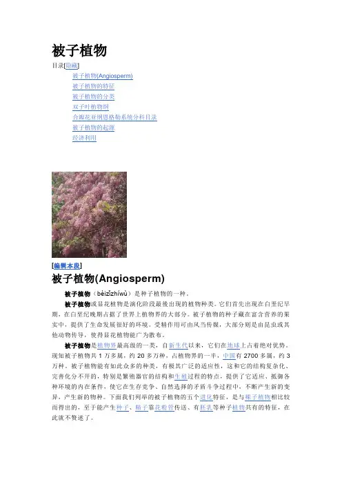 被子植物
