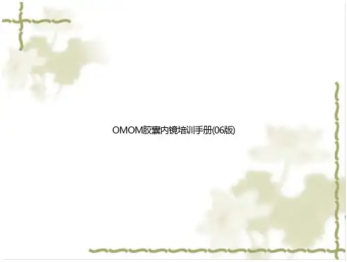 OM胶囊内镜培训手册(版)》