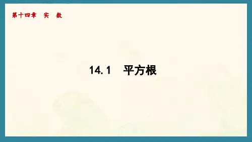 14.1 平方根   课件 2024-2025学年冀教版数学八年级上册