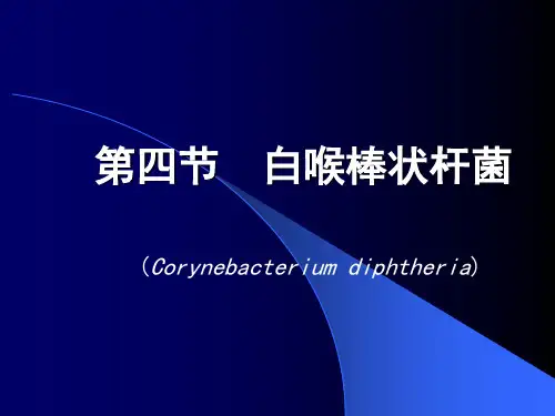 细菌学检验-11-棒状杆菌属-4