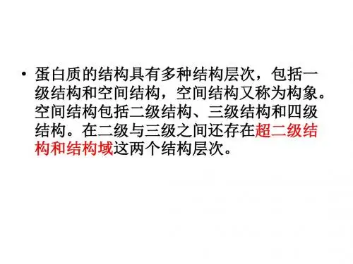 蛋白质结构的分析