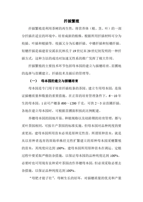 扦插繁殖