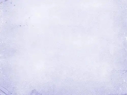 《雨林的毁灭——世界性灾难》