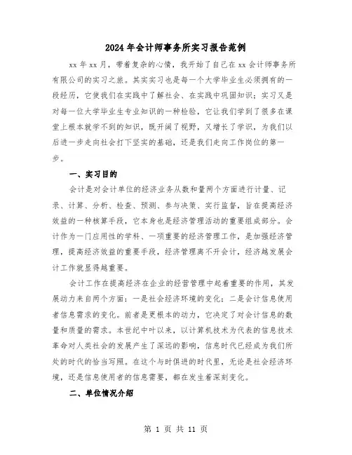 2024年会计师事务所实习报告范例(3篇)