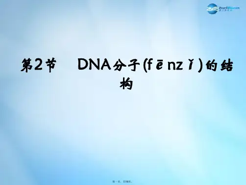 高中生物 第3章 第2节《DNA分子的结构》参考课件 新人教版必修2