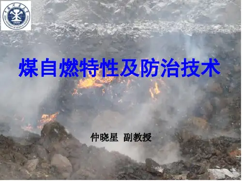 煤自燃特性及防治技术精品PPT课件