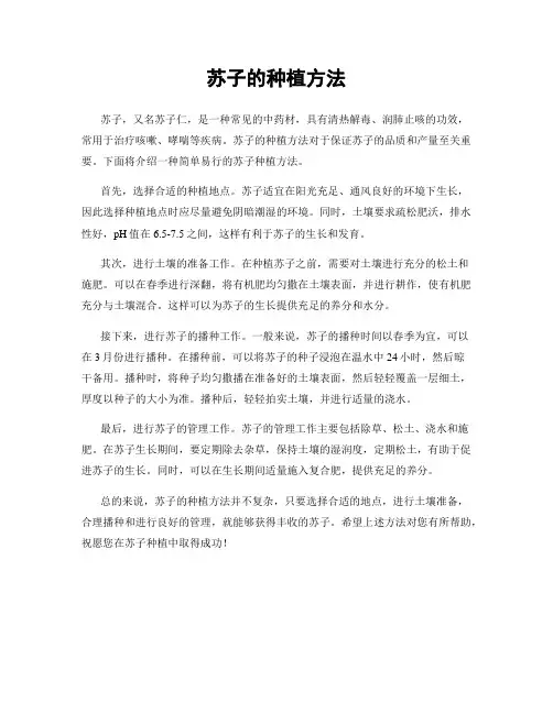 苏子的种植方法